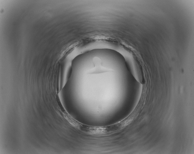 X0000084050288200702161515