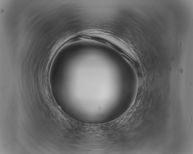 X0000084050289200702161514