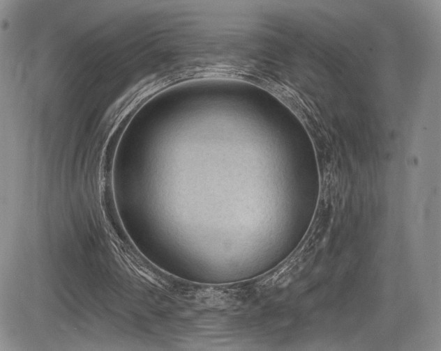 X0000084050290200702161514