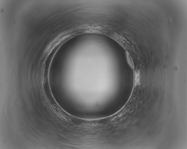 X0000084050291200702161514