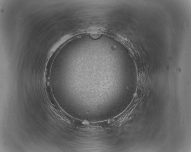 X0000084050292200702161514