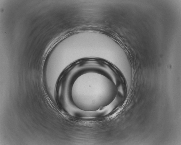 X0000084050293200702161514