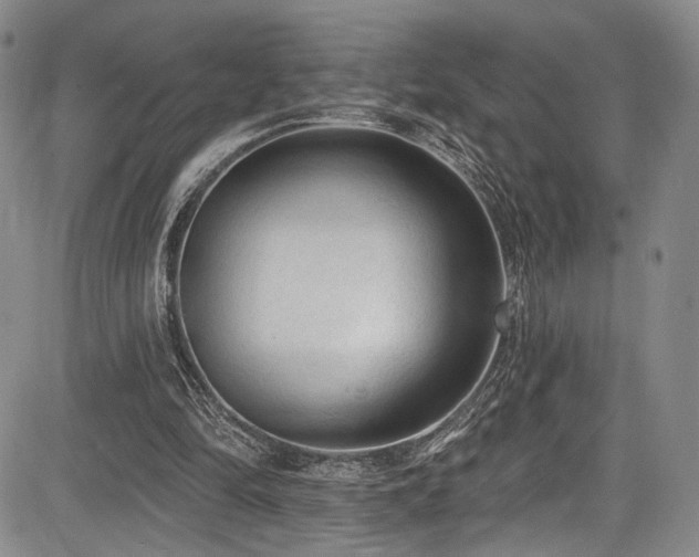 X0000084050294200702161514