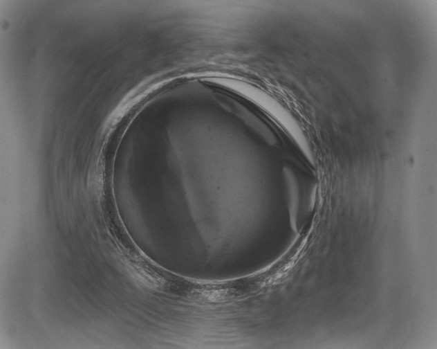 X0000084050295200702161514