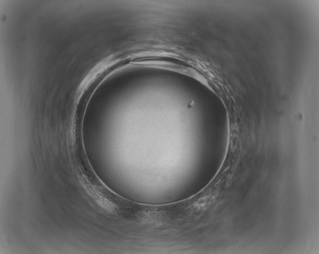 X0000084050296200702161514