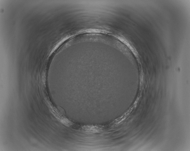 X0000084050297200702161514