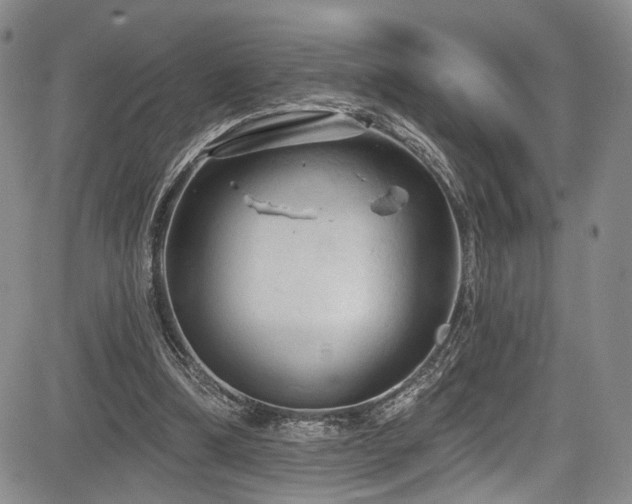 X0000084050298200702161514