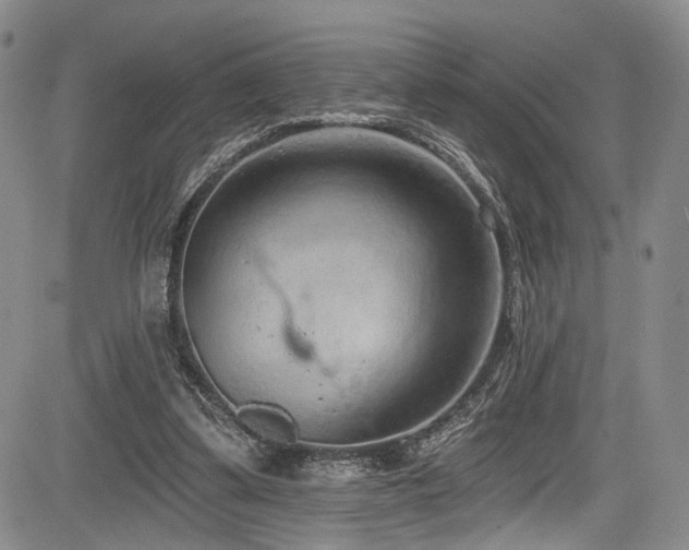 X0000084050299200702161514