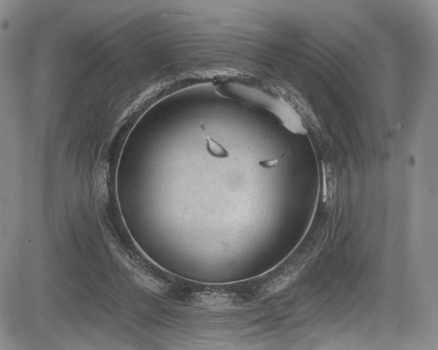 X0000084050300200702161514