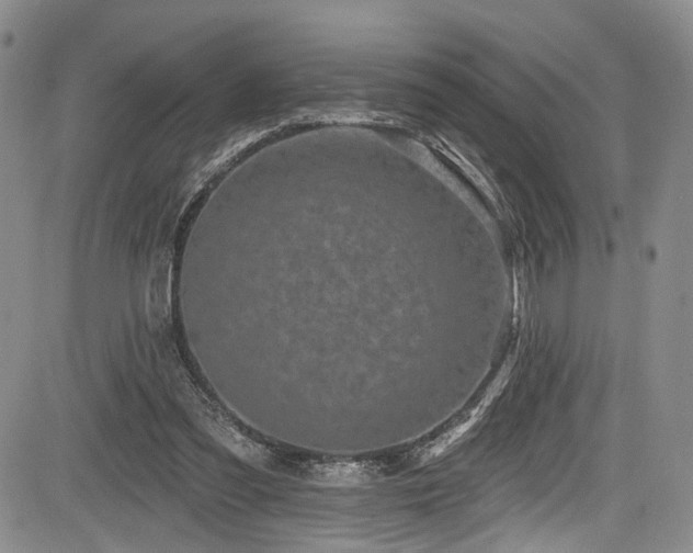 X0000084050301200702161514