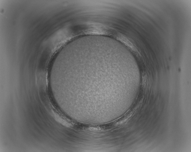 X0000084050302200702161514