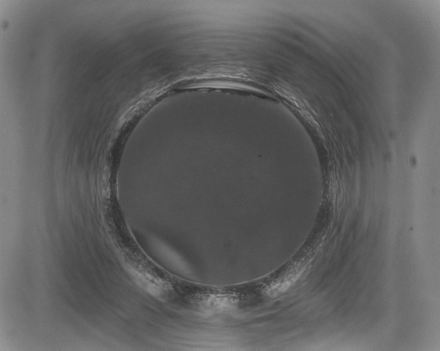 X0000084050303200702161514