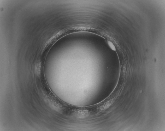 X0000084050304200702161514