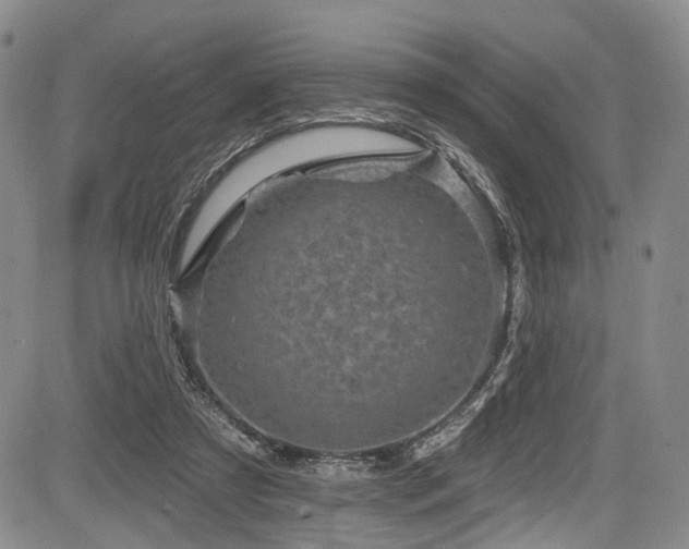 X0000084050305200702161513