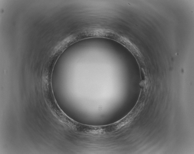 X0000084050306200702161513