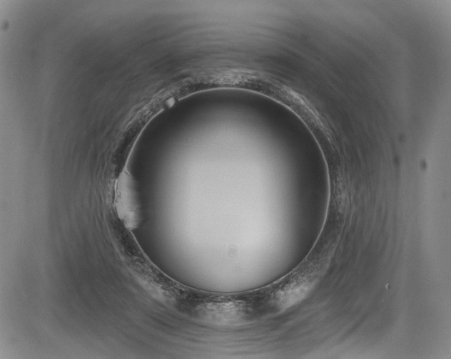 X0000084050307200702161513