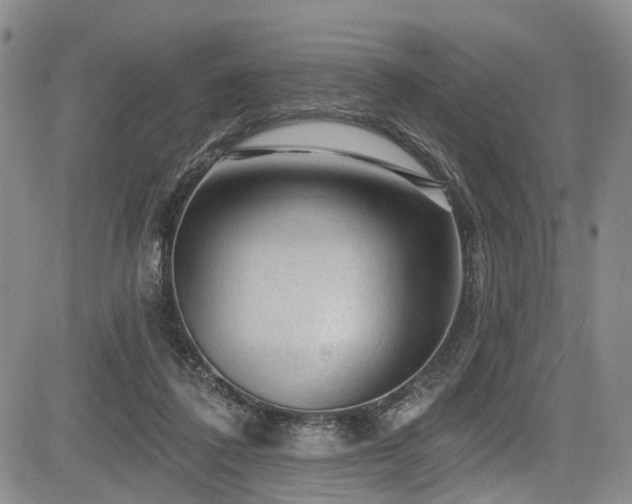 X0000084050308200702161513