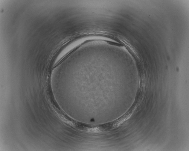 X0000084050309200702161513