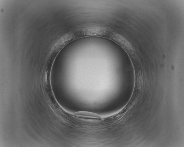 X0000084050310200702161513