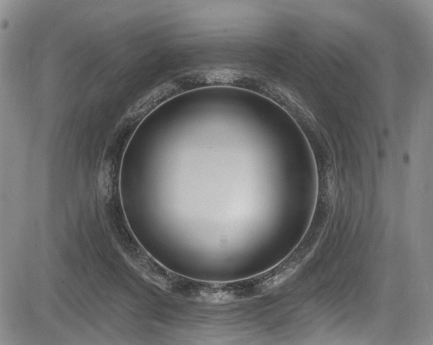 X0000084050311200702161513