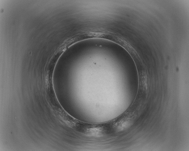 X0000084050312200702161513