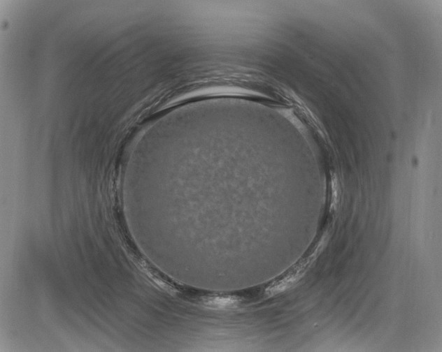 X0000084050313200702161513