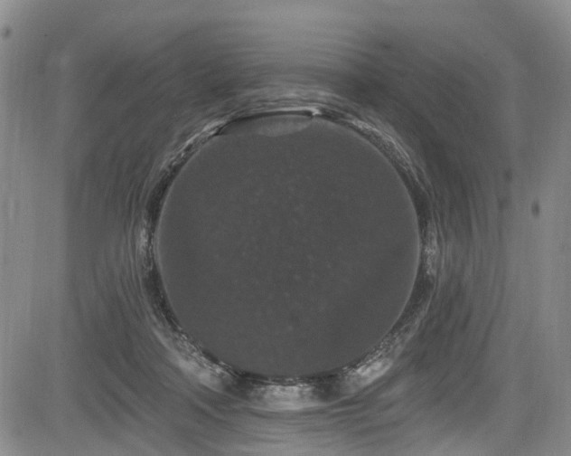 X0000084050314200702161513