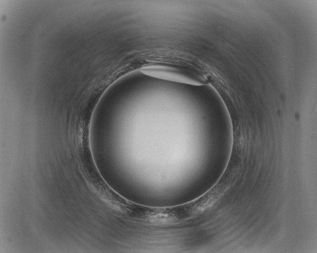 X0000084050315200702161513