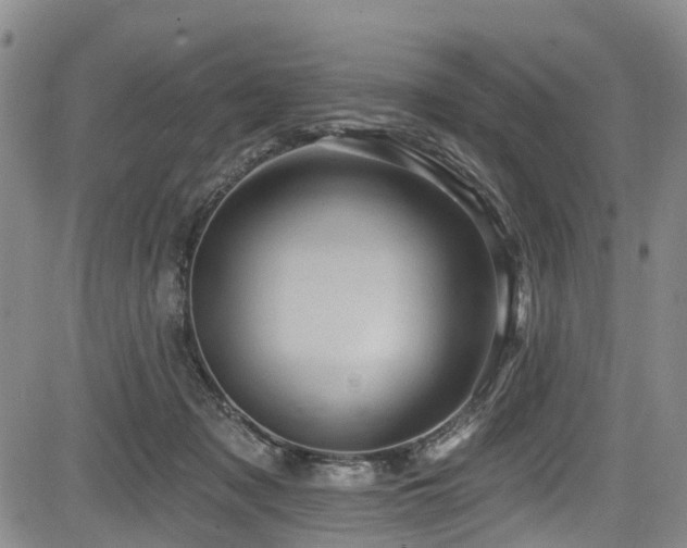 X0000084050317200702161513