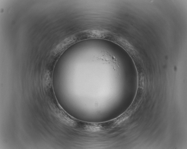 X0000084050318200702161513