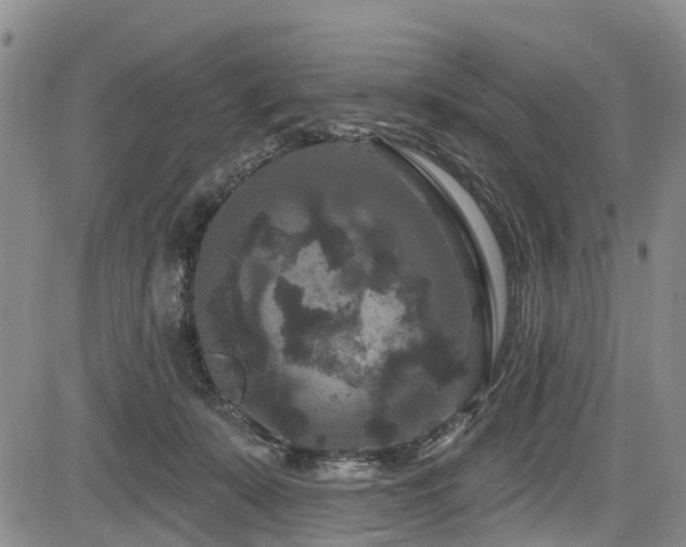 X0000084050319200702161513