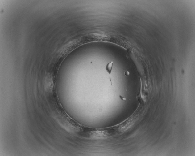 X0000084050320200702161513