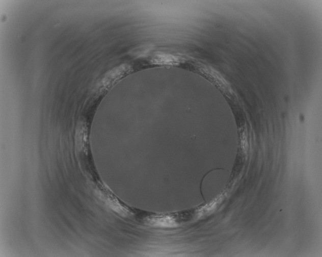 X0000084050322200702161513