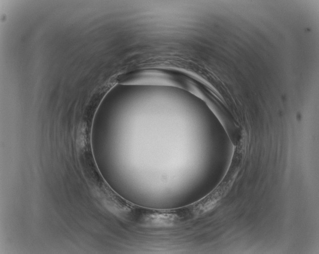 X0000084050323200702161513