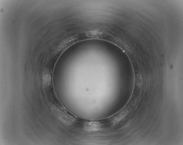 X0000084050324200702161513