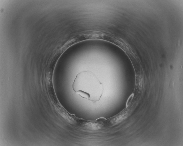 X0000084050326200702161513