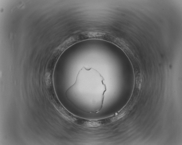 X0000084050327200702161513