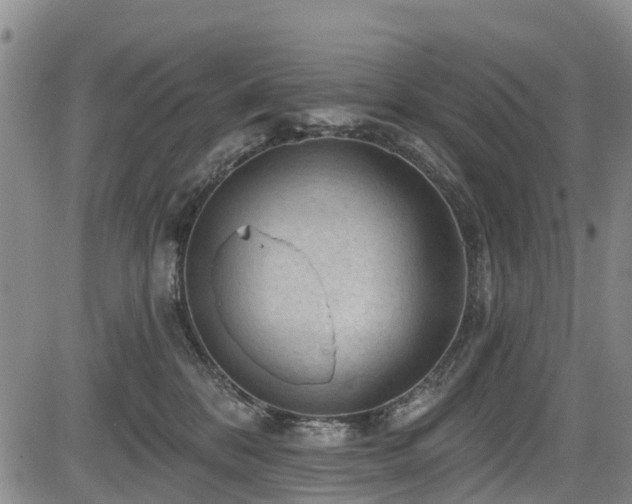 X0000084050328200702161513