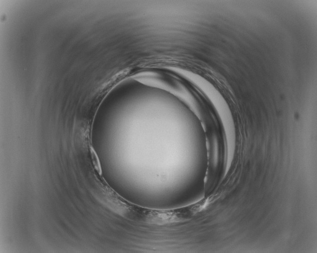 X0000084050329200702161513