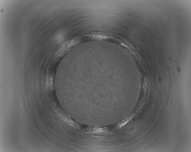 X0000084050330200702161513