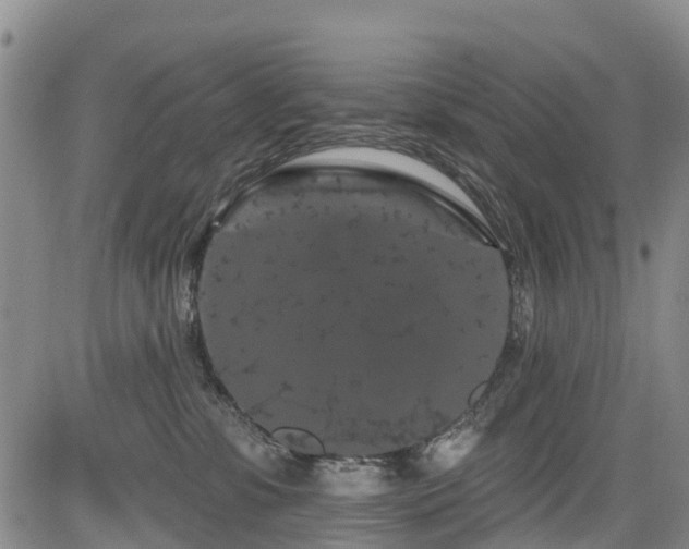 X0000084050331200702161513