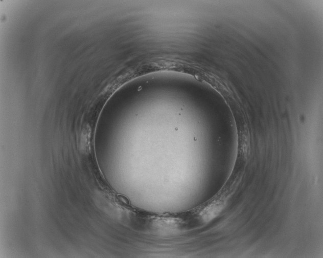 X0000084050332200702161513