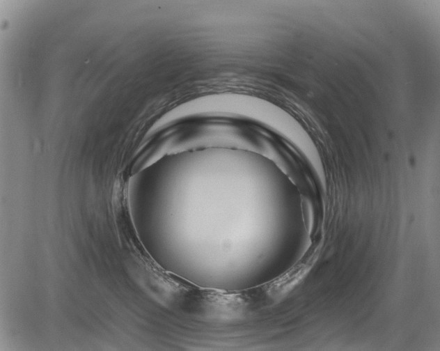 X0000084050333200702161513