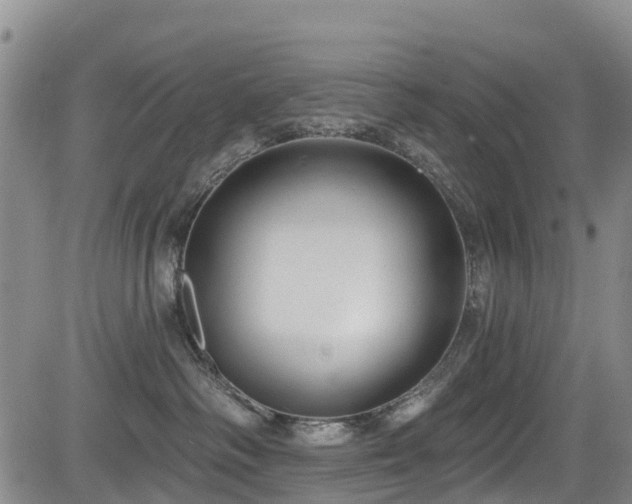 X0000084050334200702161513