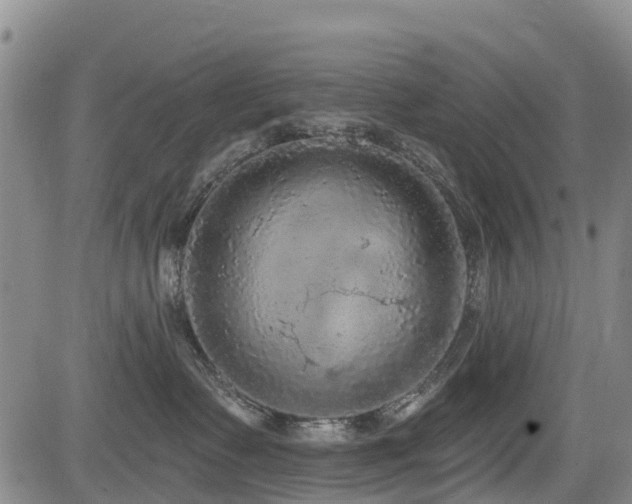 X0000084050335200702161513