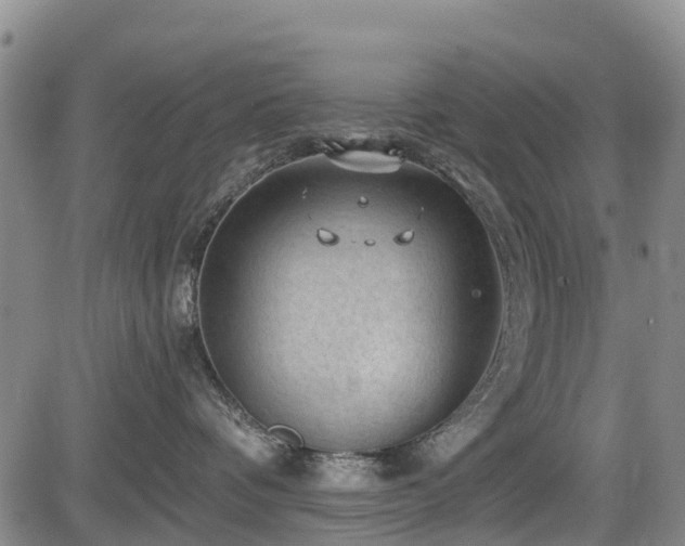 X0000084050336200702161513