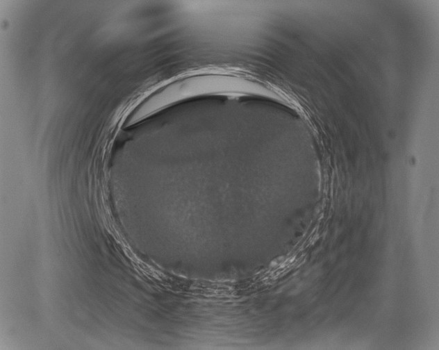 X0000084050337200702161512