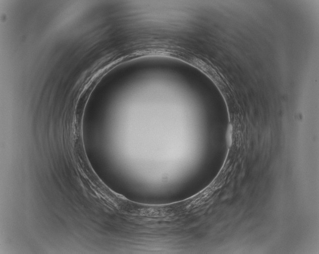 X0000084050338200702161512