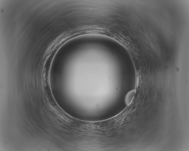 X0000084050339200702161512