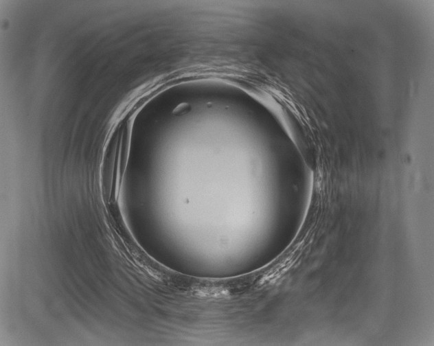 X0000084050340200702161512